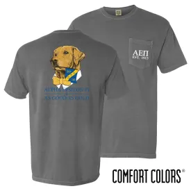 AEPi Comfort Colors Retriever Flag Tee