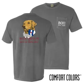 Beta Comfort Colors Retriever Flag Tee