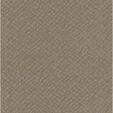 Chic Shades Residential Carpet