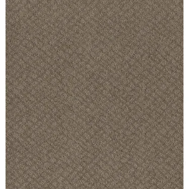 Chic Shades Residential Carpet