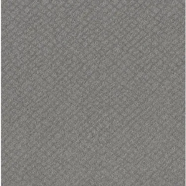 Chic Shades Residential Carpet