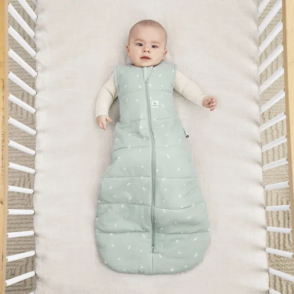 ergoPouch Jersey Sleeping Bag 2.5 TOG - Sage - 8 to 24 Months