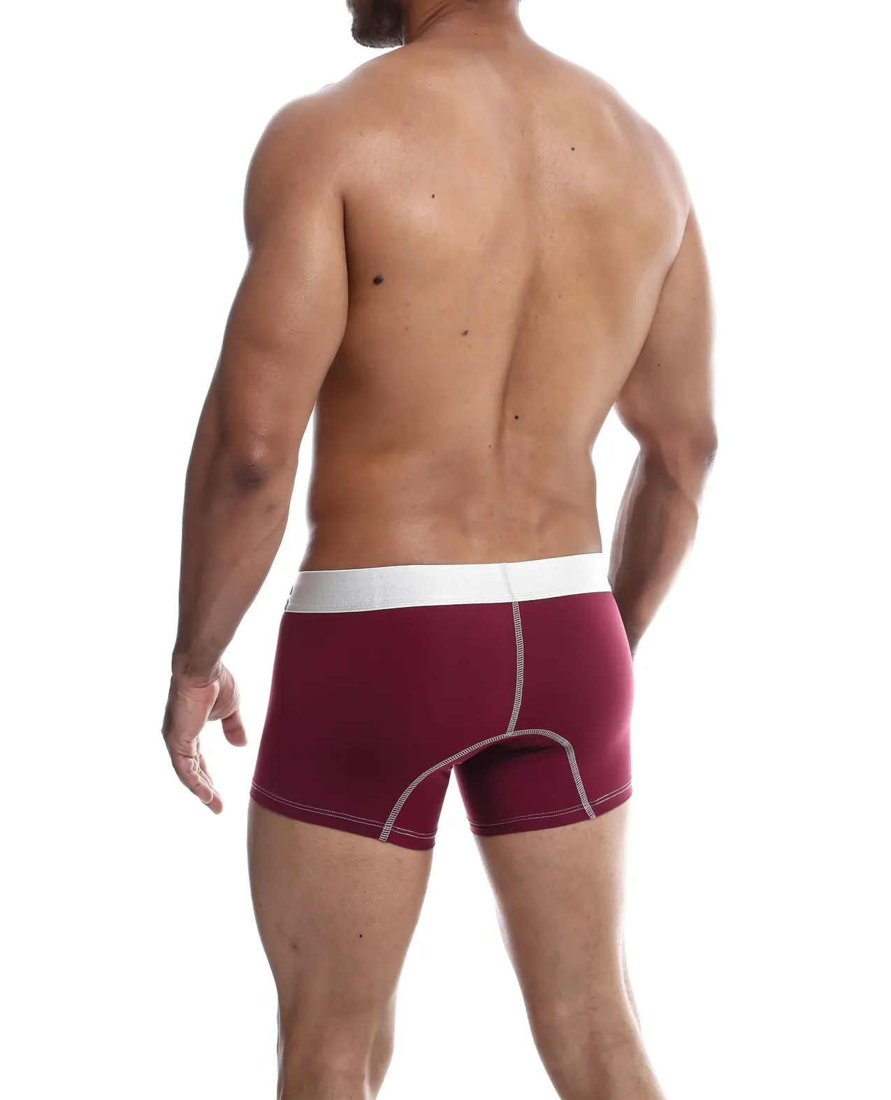 Male Basics Performance Boxer Burgundy LG