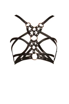 Seduction Leather Harness